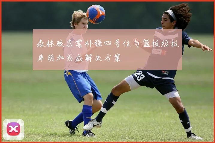 森林狼急需补强四号位与篮板短板库明加或成解决方案